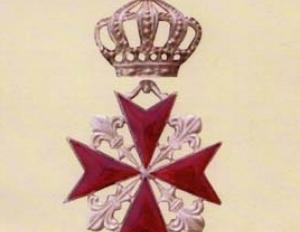 Image for Istituzione dei Cavalieri di S. Stefano