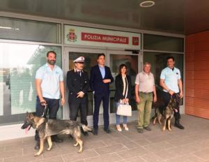 Image for Polizia Municipale, consegnati i cani antidroga per l’Unità Cinofila