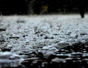 Image for Maltempo, pioggia intensa a Pisa e allagamenti temporanei
